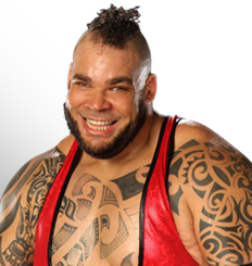 brodus-clay-2012-roster.png